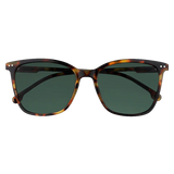 Sunglasses OB143 - Zippo Range Brown Clippa Sales