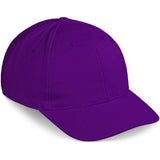 Pro Basic Cap Purple AMROD |usbandmore