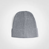Glacier Ribbed Beanie - FWRD - USB & MORE