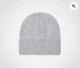 Summit Beanie - FWRD|usbandmore