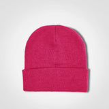 Aspen Beanie - FWRD - USB & MORE