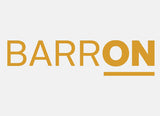 Barron Armour Safety Shoe - USB & MORE